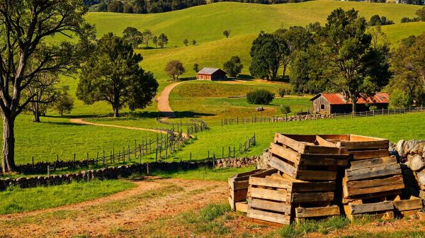 Top cultures à revenus : les options agricoles incontournables